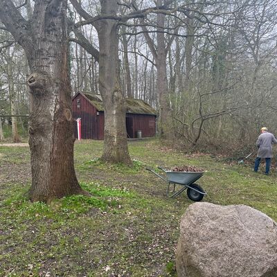 Bild vergr&ouml;&szlig;ern: Aufräumarbeiten rund um das Badehaus: Eine Person sammelt Laub und Äste, daneben steht eine gefüllte Schubkarre, umgeben von Bäumen und Wiese.