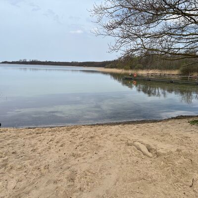 Bild vergr&ouml;&szlig;ern: Blick von einem breiten Sandstrand auf einen ruhigen See unter bewölktem Himmel. Rechts im Bild ragt ein langer Holzsteg mit einem Rettungsring ins Wasser, dahinter säumt dichtes Schilf das Ufer. Ein großer, kahler Baumast im Vordergrund rahmt die Szene von oben ein.